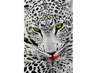 Covor Dreptunghiular - Kolibri Leopard - Culoare Gri - 11335/140